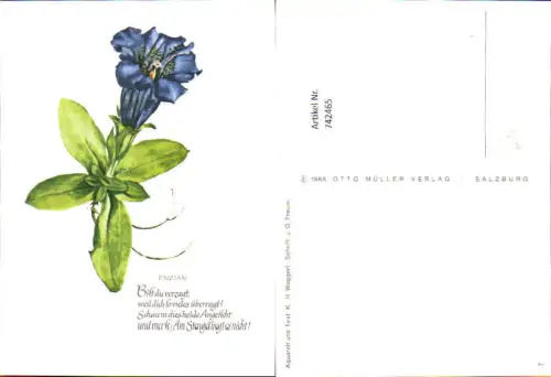 742465 Künstler AK K. H. Waggerl Enzian Text J. G. Freund Blumen