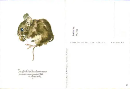 742466 Künstler AK K. H. Waggerl Haselmaus Maus Nagetier Tiere Text J. G. Freund