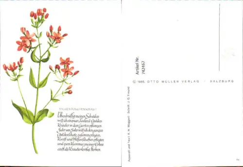 742467 Künstler AK K. H. Waggerl Tausendguldenkraut Text J. G. Freund Blumen