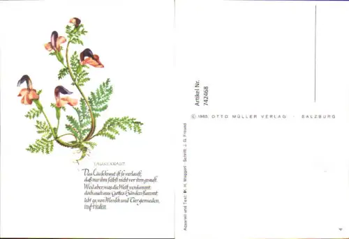 742468 Künstler AK K. H. Waggerl Läuserkraut Text J. G. Freund Blumen