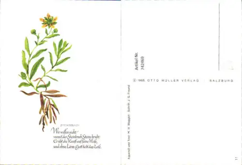 742469 Künstler AK K. H. Waggerl Steinbrech Text J. G. Freund Blumen
