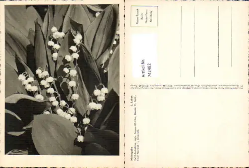 742482 Künstler AK L. Lukat Maiengabe Maiglöckchen Fotokunst