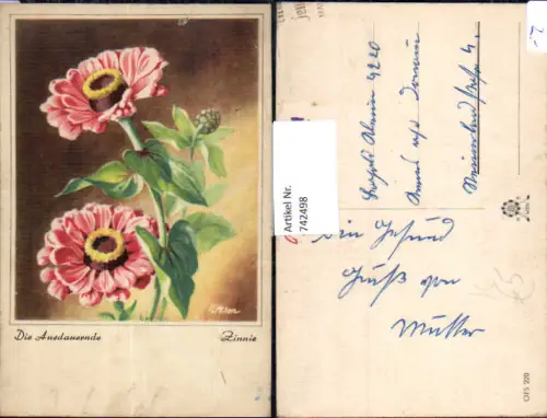 742498 Künstler AK F. Milan Zinnie Die Ausdauernde Blumen