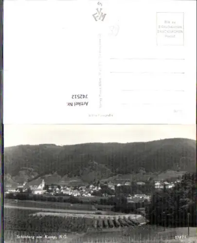 742512 Foto AK Schönberg am Kamp Ansicht m. Weinberg Weinbau