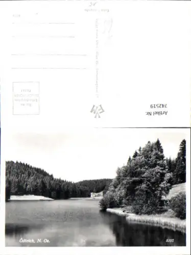 742519 Foto AK Ödteich b. Gutenbrunn Yspertal Altenmarkt Ysper