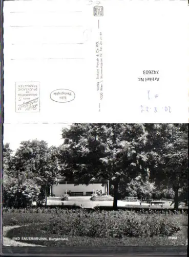 742603 Foto AK Bad Sauerbrunn Kurpark Kurhaus