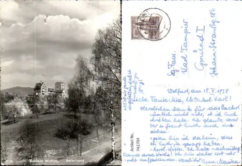 742704 Foto AK Schloss Wolfurt Birke Baum im Vordergrund Bregenz
