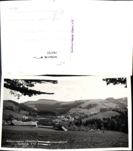 742731 Foto AK Erholungsort Zöbern Wechselgebiet