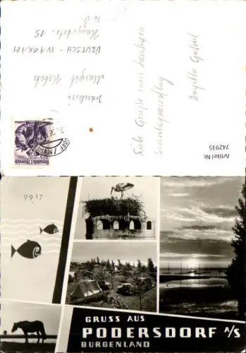 742935 Mehrbild Foto AK Podersdorf a. See Storchenhorst Camping Pferd Segelboot Hafen