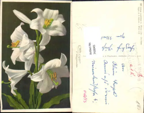 743045 Künstler AK Weiße Lilien Blumen pub Gyger 657