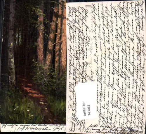 743061 Künstler AK Wald Weg Landschaft
