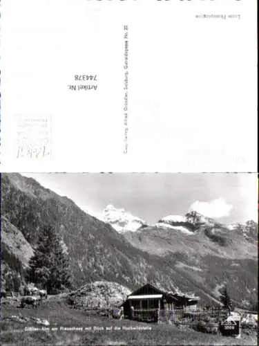 744378 Foto AK Gföller-Alm Rissachsee m. Blick a. d. Hochwildstelle Schladming