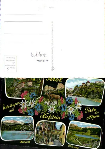 744419 Mehrbild AK Kufstein Hechtsee Thiersee Festung Alpenflora Blumen