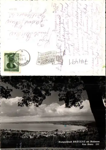 744491 Foto AK Bregenz am Bodensee Baum im Vordergrund pub Foto Branz 195