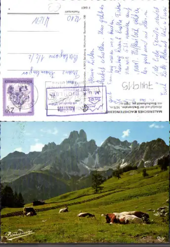 744915 Almidyll Sulzenalm m. Bischofsmütze b. Filzmoos Dachsteingebiet