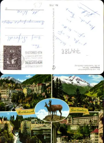 744988 Mehrbild AK Bad Gastein Wasserfall Ansichten Gams Gämse