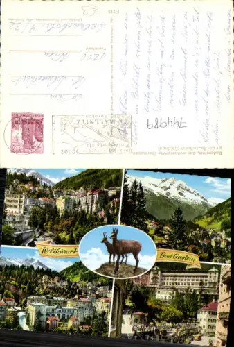 744989 Mehrbild AK Bad Gastein Wasserfall Ansichten Gams Gämse