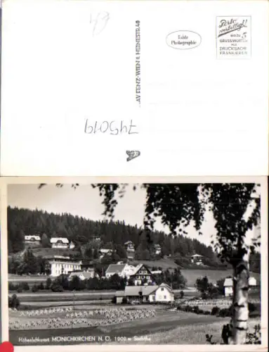 745019 Foto AK Mönichkirchen a. Wechsel Heuernte Baum i. Vordergrund
