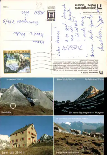 745274 Mehrbild AK Salmhütte Bergschafe Leitertal Heiligenblut am Großglockner