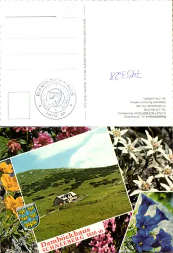 745328 Mehrbild AK Damböckhaus Schneeberg Puchberg a. Schneeberg Alpenflora Enzian