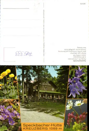 745333 Mehrbild AK Breitenstein a. Semmering Speckbacherhütte Kreuzberg Blumen