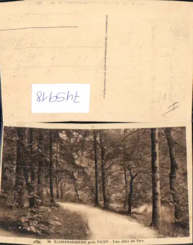 745918 L Ardoisiere pres Vichy Une Allee du Parc Bäume Wald France