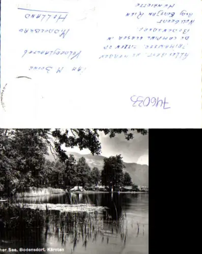 746033 Foto AK Bodensdorf Steindorf am Ossiacher See Zelten Camping