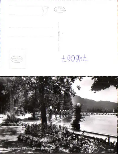 746067 Foto AK Pörtschach a. Wörthersee Blumenstrand Ufer Promenade