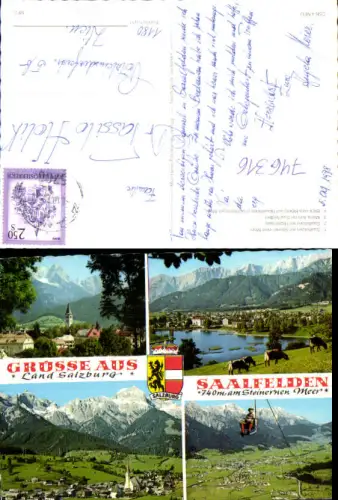 746316 Mehrbild AK Saalfelden am Steinernen Meer Sessellift Kühe Rinder Ritzensee