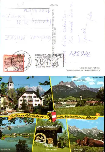 746329 Mehrbild AK Saalfelden am Steinernen Meer Ritzensee Alte Mühle Kühe Rinder