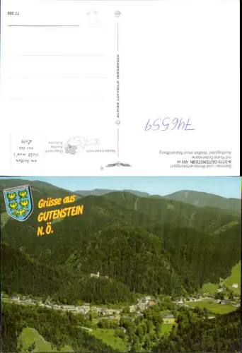 746559 Fliegeraufnahme Gutenstein mit Ruine Gutenstein pub Alpine Luftbild 77398