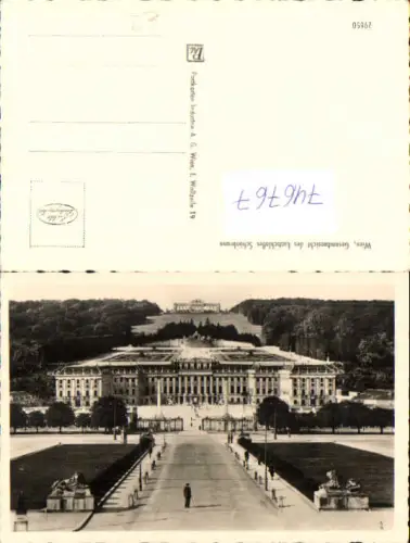 746767 Foto AK Wien Vienna Gesamtansicht Schloss Schönbrunn m. Gloriette
