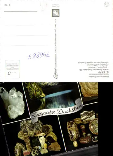 746867 Mehrbild AK Gosau Gosausee Dachstein Bergkristall Fossilien Mineralien