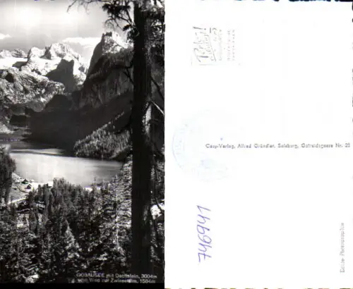 746941 Foto AK Gosau Gosausee m. Dachstein vom Weg zur Zwieselalm Baum i. Vordergrund