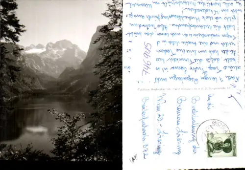 746945 Foto AK Gosau Gosausee m. Dachstein Baum i. Vordergrund