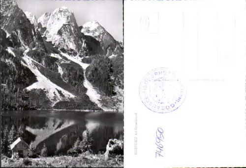 746950 Foto AK Gosau Gosausee m. Donnerkogel Hütte a. Ufer Vordergrund