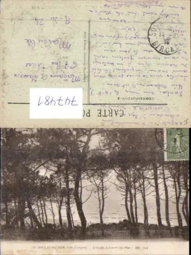 747481 Soulac-sur-Mer Cote d Argent L Ocean a travers les Pins France