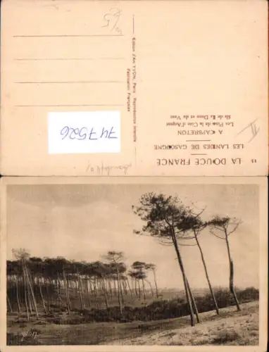 747526 Les Landes de Cascogne A Capbreton Les Pins de la Cote d Argent France