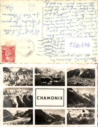 747937 Mehrbild AK Chamonix Mont Blanc Kühe Rinder Seilbahn Gondel France
