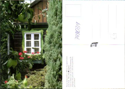 748039 Wien Vienna SPÖ Schrebergarten Garten Blumen Apfel