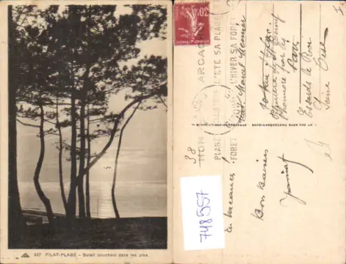 748557 Pilat-Plage Soleil couchant dans les pins Baum Küste France