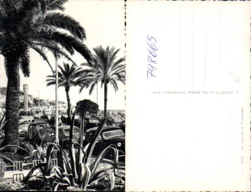748665 Nice Nizza Un coin de la Promenade Palmen France