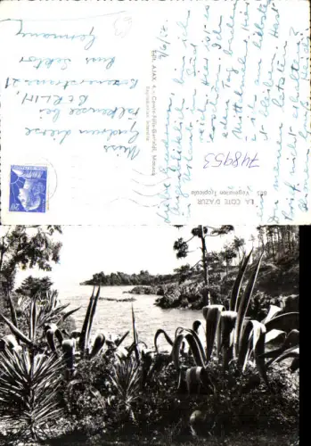 748953 La Cote d Azur Vegetation Tropicale France