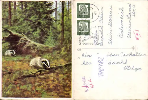 748982 Künstler AK G. Mejewicz Dachs Dachse im Wald Jagd Tiere