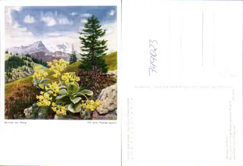 749023 Künstler AK Mundgemalt Arnulf Erich Stegmann Blumen am Hang