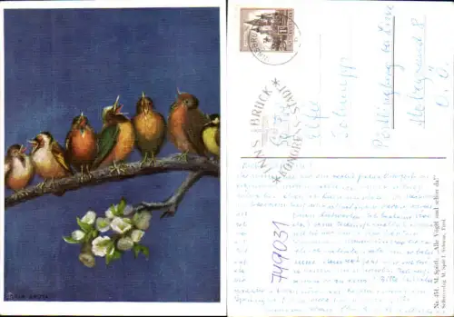 749031 Künstler AK M. Spötl Alle Vögel sind schon da auf Zweig