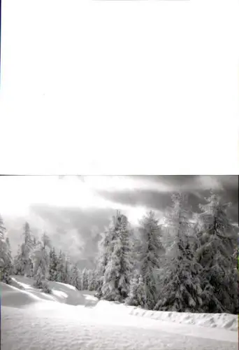 749255 Lienz in Osttirol Zettersfeld Partie Schnee