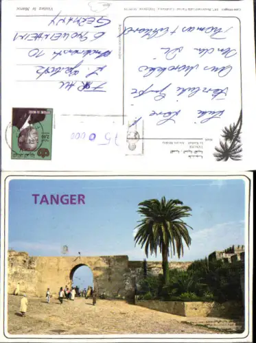 750000 Africa Tanger Maroc Marokko La Kasbah Ancien Medina Palme
