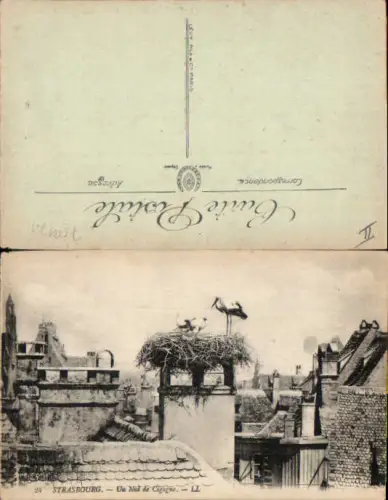 750171 Strasbourg Strassburg Elsass Storch Störche Cigogne