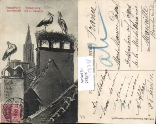 750798 Strassburg Strasbourg Alsace Elsass Storch Störche pub Felix Luib
